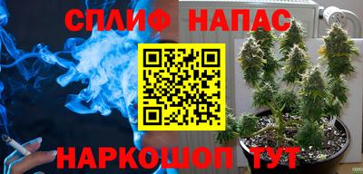 крисы Ставрополь