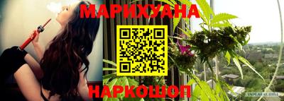 крисы Ставрополь