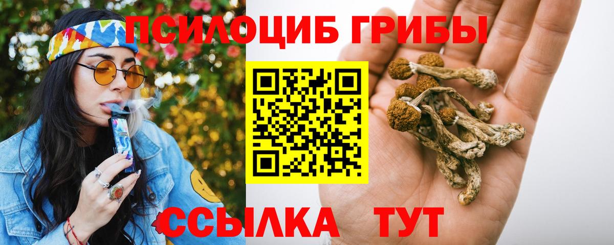 Псилоцибиновые грибы мухоморы Альметьевск