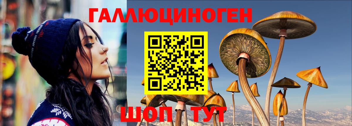Альметьевск  Галлюциногенные грибы Cubensis  Вход с VPN 